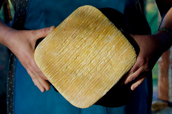 Pecorino, Taleggio - 1 napos SAJT SULI